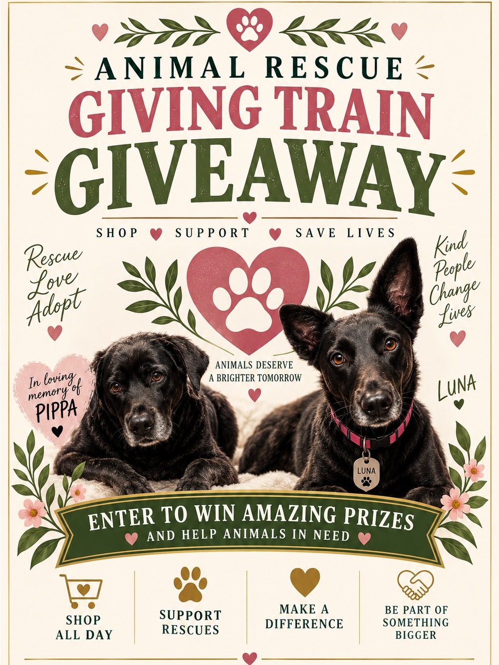Hawaii Plane Show Giveaway 🐾♥️🎉